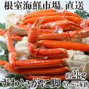 【ふるさと納税】根室海鮮市場＜直送＞本ズワイガニ脚2kg(5