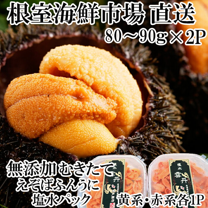 【ふるさと納税】根室海鮮市場＜直送＞無添加むきたてエゾバフンウニ(黄系・赤系)塩水パック80～90g×各1P[10月下旬以降発送] B-28101のサムネイル
