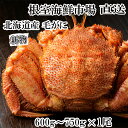 【ふるさと納税】根室海鮮市場<直送>ボイル毛がに600~750g×1尾 B-28124