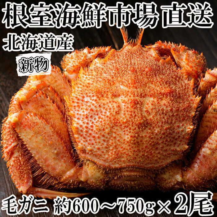 【ふるさと納税】根室海鮮市場＜直送＞ボイル毛がに(新物)約600～750g×2尾 C-28003【12月13日決済確定分まで年内配送】のサムネイル