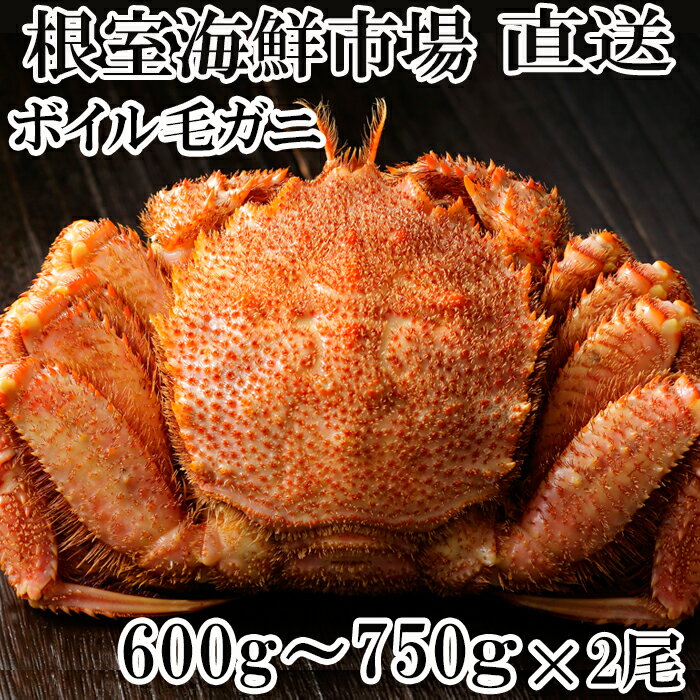 【ふるさと納税】根室海鮮市場＜直送＞ボイル毛がに600〜750g×2尾 F-28007