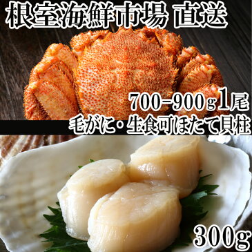 【ふるさと納税】根室海鮮市場＜直送＞ボイル毛がに700g〜900g×1尾、天然刺身用ほたて貝柱300g C-28016