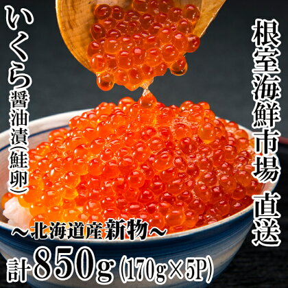 いくら醤油漬け(秋鮭卵)(新物)170g×5P(計850g) C-28022