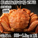 【ふるさと納税】根室海鮮市場<直送>ボイル毛がに900g〜1.1kg×1尾 F-28029