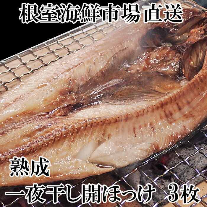 【ふるさと納税】【12月10日決済確定分まで年内配送】 開きほっけ一夜干し 選べる 3 枚 6 枚 ホッケ 魚 さかな サカナ お取り寄せ グルメ 海鮮 一夜干 干物 熟成 北海道 根室市 ふるさと納税