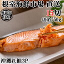 【ふるさと納税】根室海鮮市場<直送>無添加甘塩天然沖獲れ鮭 選べる 5切×3P 5切×6P サケ さけ さかな サカナ 魚 北海道 根室市