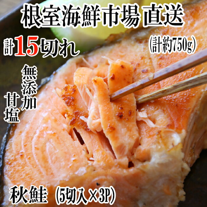 【ふるさと納税】【12月10日決済確定分まで年内配送】 根室海鮮市場 <直送> 無添加甘塩天然秋鮭 5 切 選べる 3P 6P 秋さけ 秋サケ 秋味 アキアジ ...