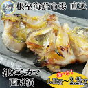 【ふるさと納税】根室海鮮市場<直送>銀だらカマ西京漬け 選べる 1.1kg 2.2kg 銀ダラ 銀鱈 さかな サカナ 魚 北海道 根室市