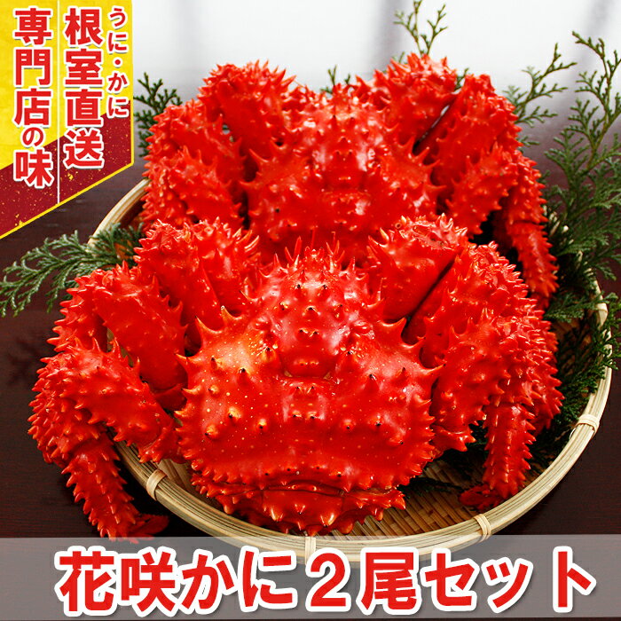 【ふるさと納税】[北海道根室産]ボイル花咲蟹400g～500