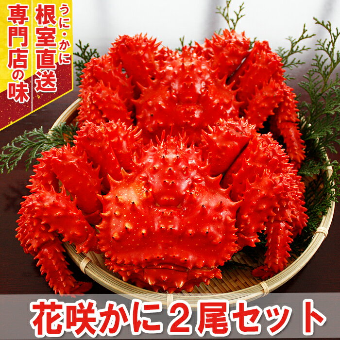 花咲ガニ 【ふるさと納税】[北海道根室産]ボイル花咲蟹400g～500g×2尾 A-29009