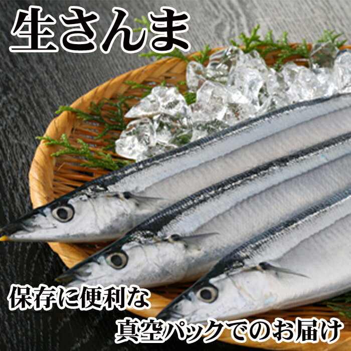 16位! 口コミ数「6件」評価「3.83」[北海道根室産]さんま20尾入り A-30003