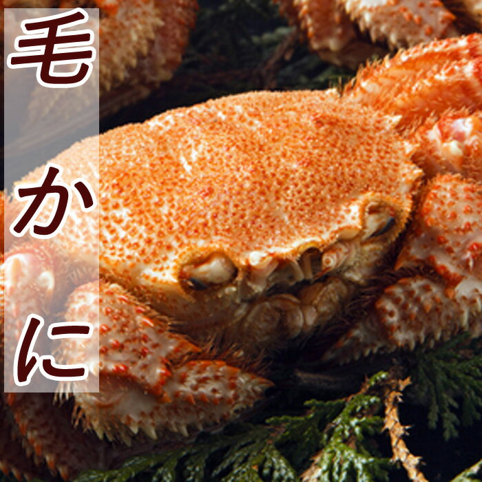 【ふるさと納税】【12月21日決済確定分まで年内配送】 毛かに 400g 前後 ~ 550g 前後選べる 1 尾 ~ 6 尾 根室 カニ かに 蟹 海鮮 海産 ...