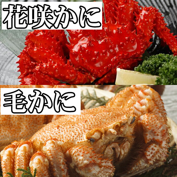 【ふるさと納税】【12月21日決済確定分まで年内配送】 毛かに・花咲かにセット ( 毛かに 400g 前後 ~ 550g 前後 × 1 尾、花咲かに 300g ...