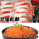 【ふるさと納税】甘塩紅鮭5切×5P、いくら醤油漬け100g×