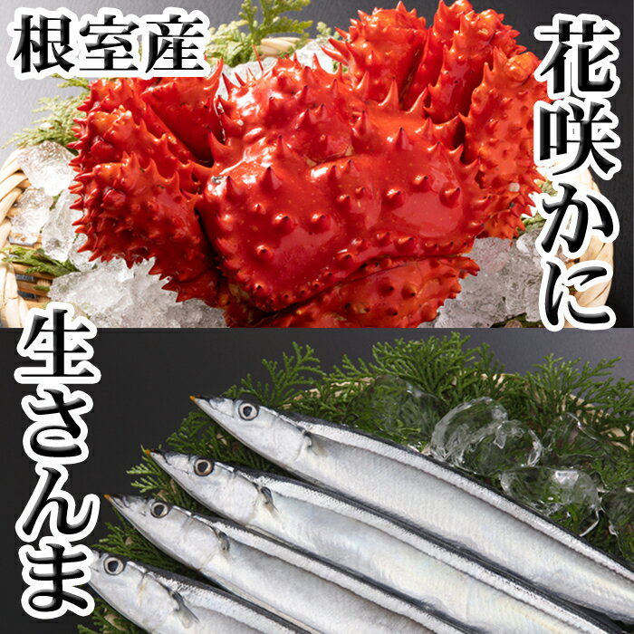 [北海道根室産]花咲かに・生さんまセット (300g前後〜450g前後×1尾・5尾×1P) (300g前後〜450g前後×2尾・5尾×1P) (300g前後〜450g前後×2尾・5尾×3P) (400g前後〜550g前後×2尾・5尾×4P) (400g〜650g前後×4尾・5尾×8P) 北海道 根室市 カニ 蟹 サンマ