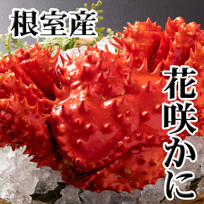 [北海道根室産]花咲かに 選べる 2 〜 8尾 北海道 根室市 カニ 蟹 かに 花咲蟹 花咲ガニ 海鮮 海産物