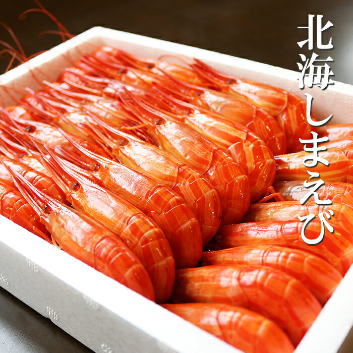 【ふるさと納税】[北海道根室産]北海しまえび600g(約35～39尾) A-32019のサムネイル