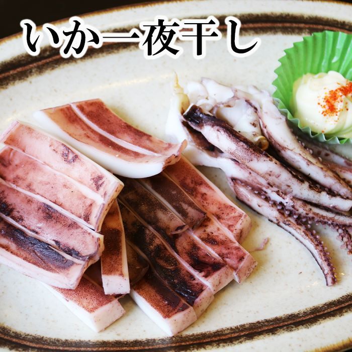 【ふるさと納税】いか一夜干し 選べる 6P 〜 10P イカ 干物 海鮮 北海道 根室市のサムネイル