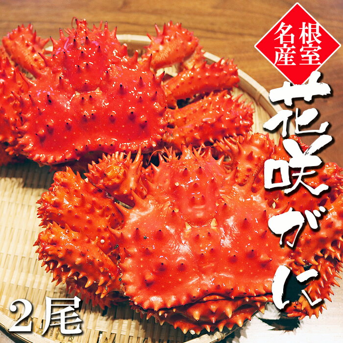 【ふるさと納税】[北海道根室産]花咲がに550～650g×2尾...