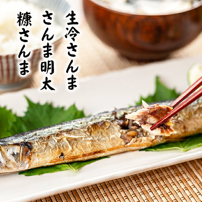 ڤդ뤵Ǽǡ[̳ƻ]25PǤ35P45P B-32050