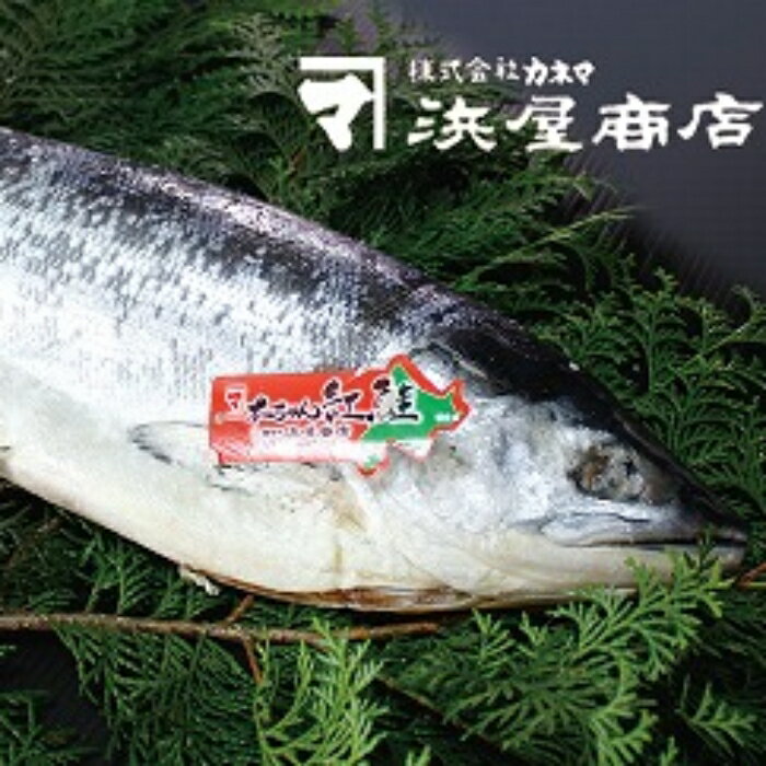 【ふるさと納税】[北海道根室産]紅鮭山漬け1尾 C-3200