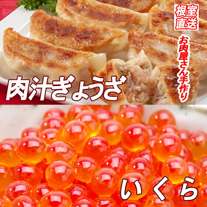 【ふるさと納税】餃子25個×1P、いくら醤油漬け100g×1P A-36042