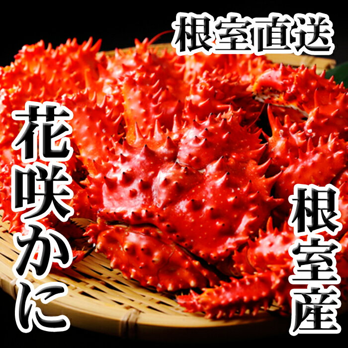 【ふるさと納税】 [北海道根室産] 花咲かに 400g 前後 ~ 500g 前後 × 4 尾 花咲が ...