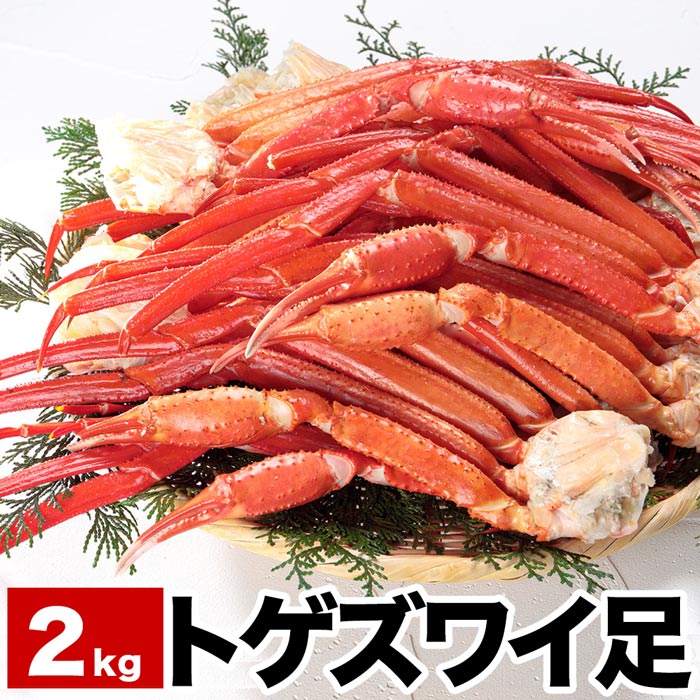 トゲズワイ足10〜12肩前後(計2kg)