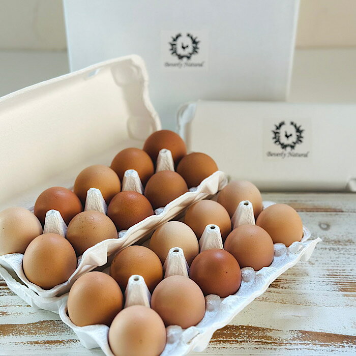 ڤդ뤵Ǽǡ[̳ƻ]ΤΤޤ10 ٤ 3P 6P 9P  ̻ ޥ  ̳ƻ 