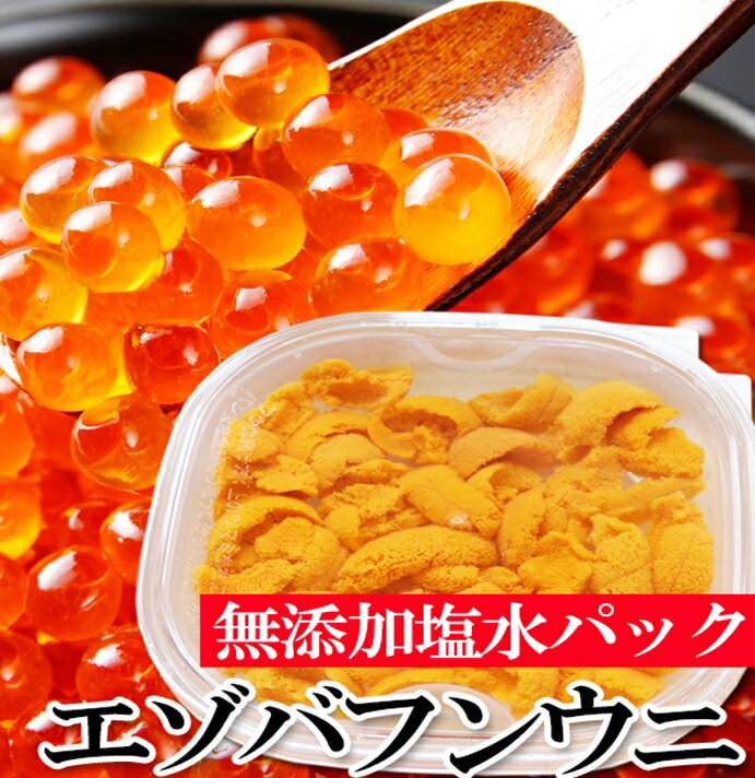 エゾバフンウニ塩水パック130g×1P、いくら醤油漬150g×1P[2026年1月中旬以降発送]