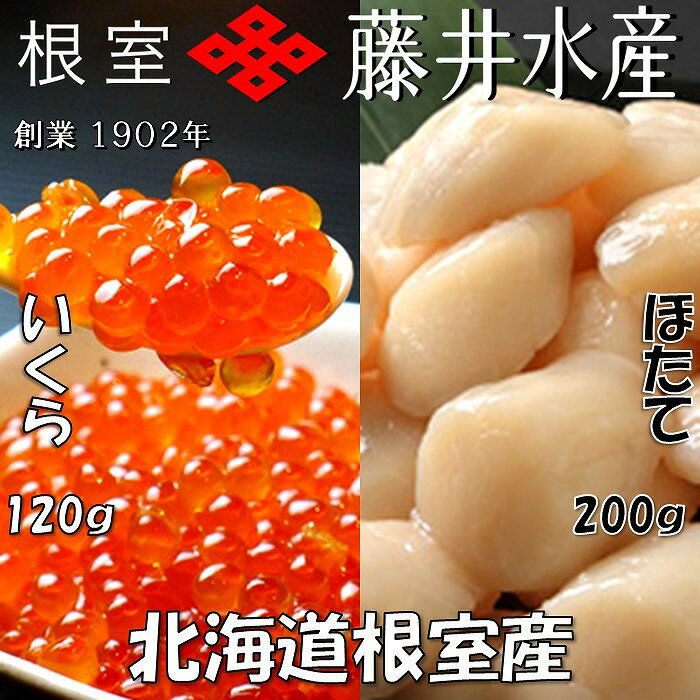 【ふるさと納税】[北海道根室産]いくら醤油漬・お刺身帆立貝柱セット 北海道 根室市