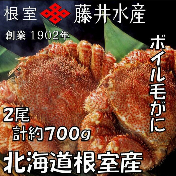 【ふるさと納税】[北海道根室産]ボイル毛がに2尾(計約700g) A-42101のサムネイル