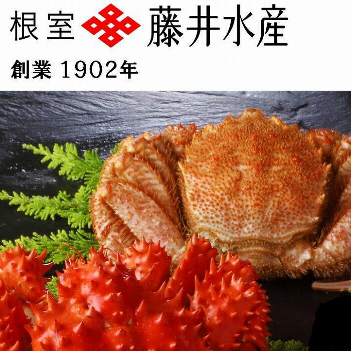 【ふるさと納税】[北海道根室産]ボイル毛がに約350g×1尾、ボイル花咲かに約400g×1尾 A-42116