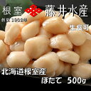 【ふるさと納税】【緊急支援品】\漁業者応援品/【北海道根室産】お刺身ほたて貝柱500g A-42125