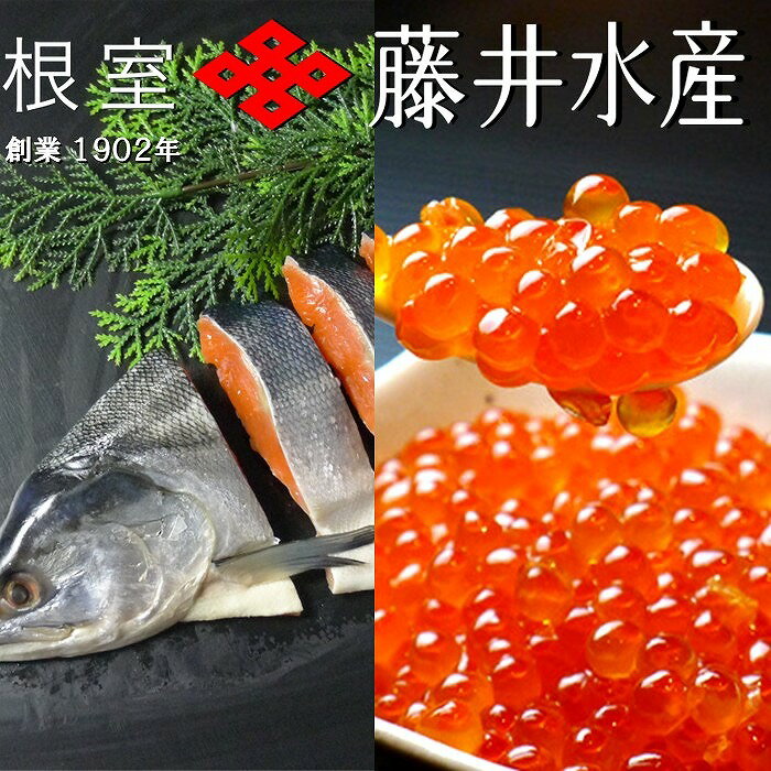 【ふるさと納税】【12月21日決済確定分まで年内配送】 紅鮭姿切り 1.2kg × 1P ・いくら醤油漬け 80g × 2P 鮭 さけ サケ しゃけ シャケ 魚...