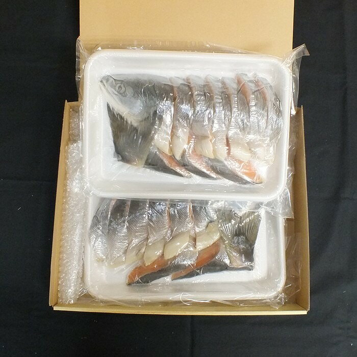 【ふるさと納税】【12月21日決済確定分まで年内配送】 [北海道根室産] 時しらず鮭切身 600g × 2P 鮭 さけ サケ しゃけ シャケ 魚 さかな サカナ 沖どれザケ 沖どれざけ 春ザケ 春ざけ 春鮭 時不知 時鮭 ときしらず グルメ 海鮮 切り身 塩ざけ 塩鮭 北海道 C-42100