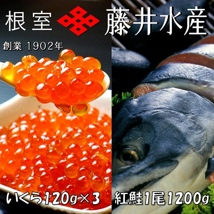 [鮭匠ふじい]紅鮭新巻1.2kg、いくら醤油漬け120g×3P