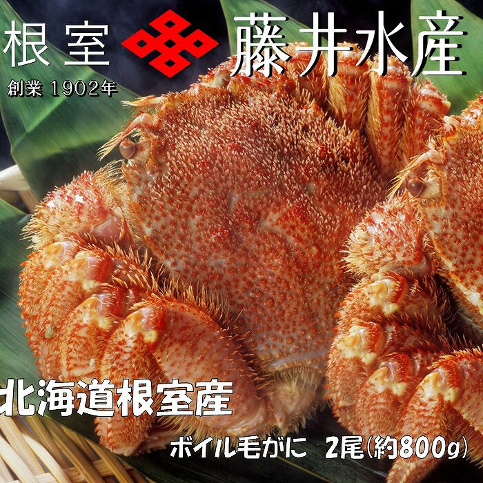 ڤդ뤵Ǽǡۡ1221ѳʬޤǯ [̳ƻ] ܥӤ 2  (  800g ) ӥ ӳ     ...