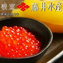 【ふるさと納税】 <鮭匠ふじい> いくら醤油漬け 80g × 1P、味付け数の子 120g × 1P かずのこ かずの子 カズノコ イクラ 醤油 醤油漬 魚卵 ...