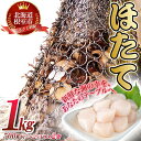 【ふるさと納税】【緊急支援品】＼漁業者応援品／ほたて貝柱500g×2P(計1kg) A-45001