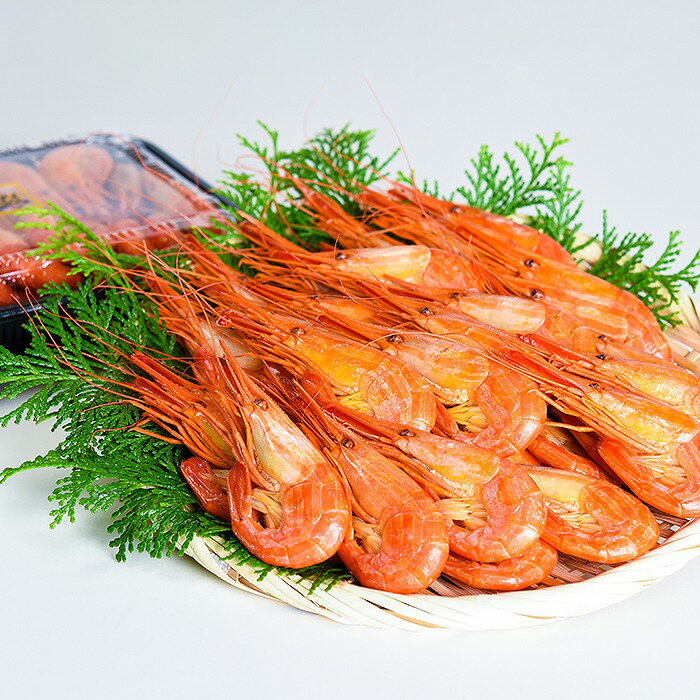 ڤդ뤵Ǽǡ[̳ƻ]̳ޤ500g ٤ 1P  2P   Ϸ ޥ ̳ޥ ̳ƻ  ...