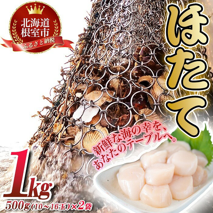 【ふるさと納税】【緊急支援品】＼漁業者応援品／ほたて貝柱500g×2P(計1.0kg) B-45003