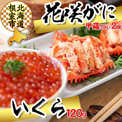 [北海道根室産]花咲ガニ(甲羅詰)70g×2P、いくら醤油漬け120g×1P B-45011