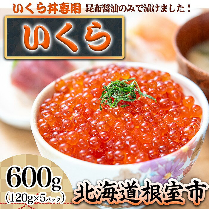 【ふるさと納税】[北海道根室産]小分けいくら120g×5P 