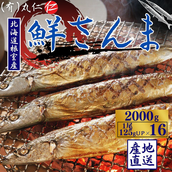 【ふるさと納税】[北海道根室産]鮮さんま16尾入(計2kg) A-50020のサムネイル