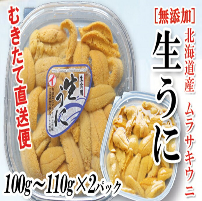 【ふるさと納税】ムラサキウニ塩水パック100～110g×2P