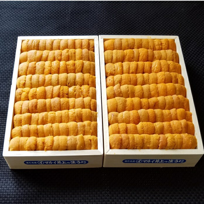 エゾバフンウニ弁当並べ詰め150g×2折[11月中旬以降順次発送]