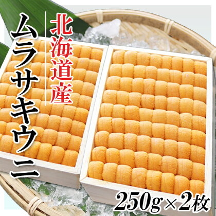 ムラサキウニ250g×2折[7月上旬以降発送] D-53013