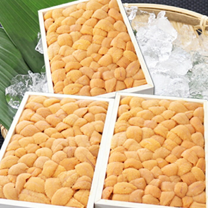 ڤդ뤵ǼǡۥХե󥦥˥Хͤ250g3[2026ǯ3ܰʹȯ] E-53005