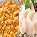 【ふるさと納税】 エゾバフンウニ塩水パック 150g × 1P、お刺身ホタテ貝柱 500g × 1P ほたて 帆立 帆立貝柱 ほたて貝柱 ホタ 貝柱 うに ウニ 雲丹 バフンウニ エゾバフンうに えぞばふんうに 蝦夷バウンウニ 蝦夷ばふんうに お取り寄せ 北海道 根室市 ふるさと納税 D-53028